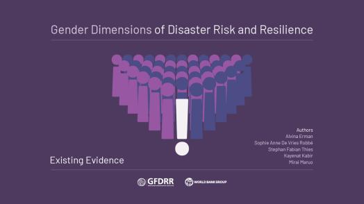 Gender Dimensions of Disaster Risk and Resilience: Existing Evidence