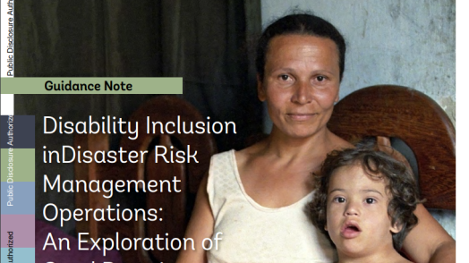 Disability Inclusion in Disaster Risk Management Operations