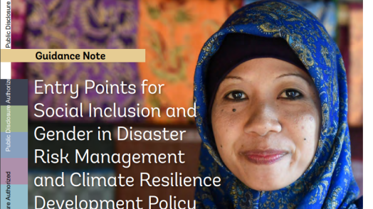 Entry Points for Social Inclusion and Gender in Disaster Risk Management