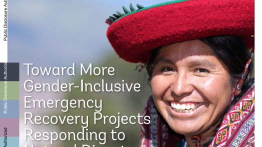 Toward More Gender-Inclusive Emergency Recovery Projects Responding to Natural Disasters