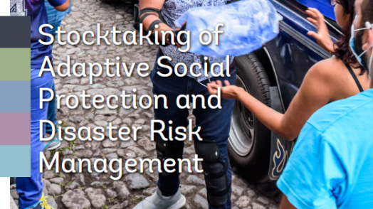 Stocktaking of Adaptive Social Protection and Disaster Risk Management