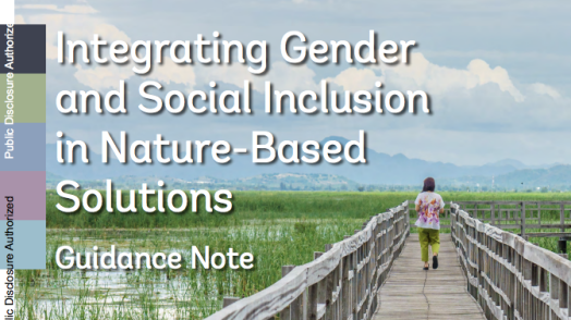 Integrating Gender and Social Inclusion in Nature-Based Solutions: Guidance Note