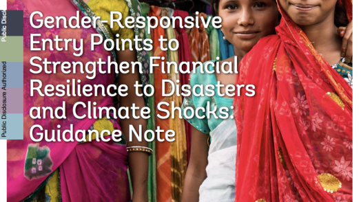 Gender-Responsive Entry Points to Strengthen Financial Resilience to Disasters and Climate Shocks
