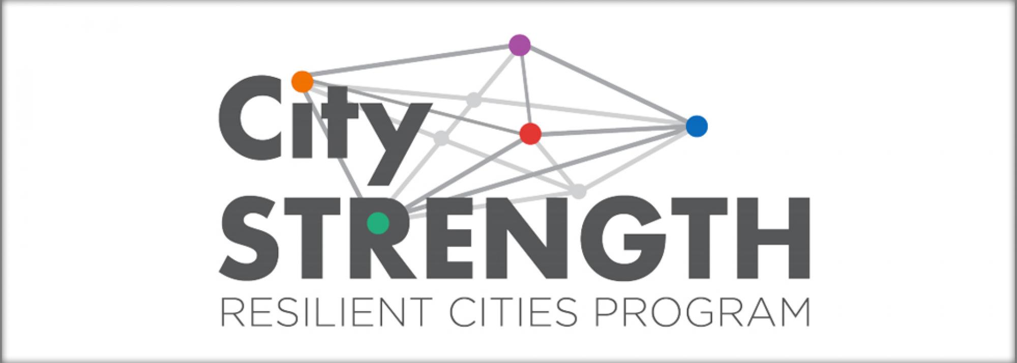 global resilient cities network (grcn)