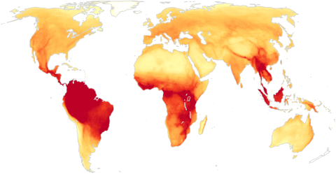 Heat Maps