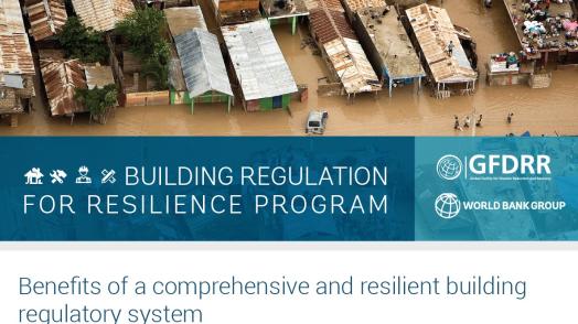 Building Regulation for Resilience Program Brief