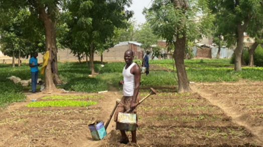 Promoting Nature-Based Solutions in N’Djamena, Chad