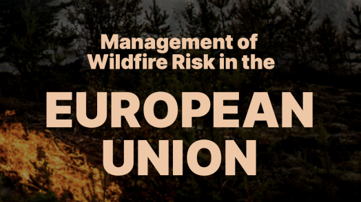 Management of Wildfire Risk in the European Union