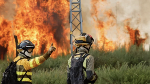 From Risk to Resilience: Strengthening Preparedness for Wildfires and Earthquakes in Europe
