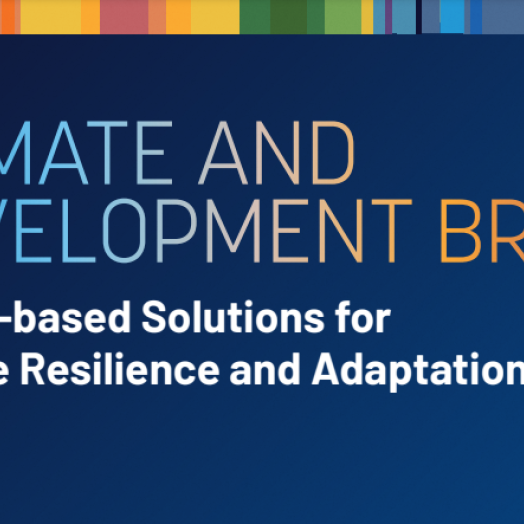 Resilience To Climate Change | GFDRR